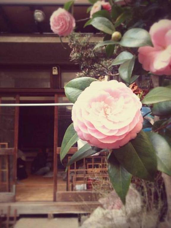 Gomaharu Guesthouse Ōsaka Eksteriør bilde